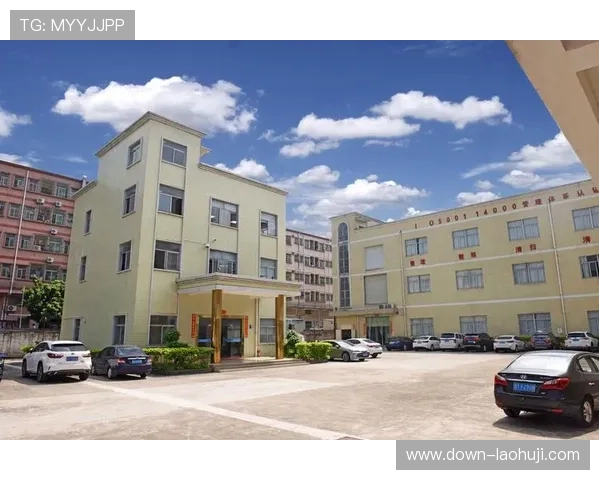 云开电子(东莞)有限公司：专注于电子元件设计与生产的专业化企业典范